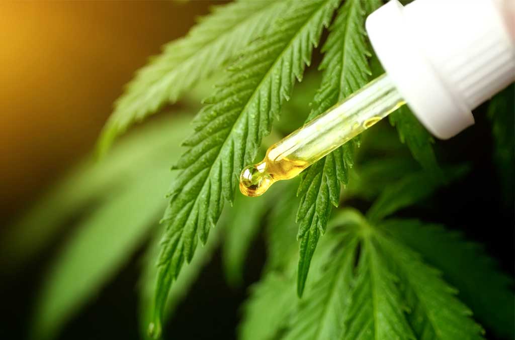 CBD : la France accro au bien-être (1/2)