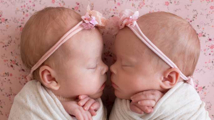 Chimères du génie génétique