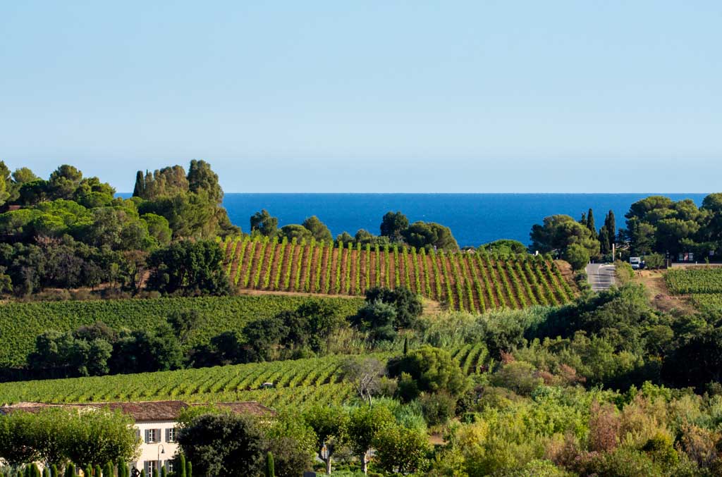 Économie des territoires et territoires de l’économie