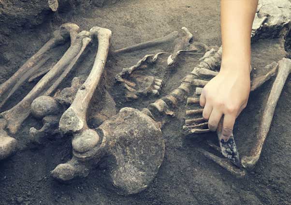 Homo sapiens, les nouvelles origines