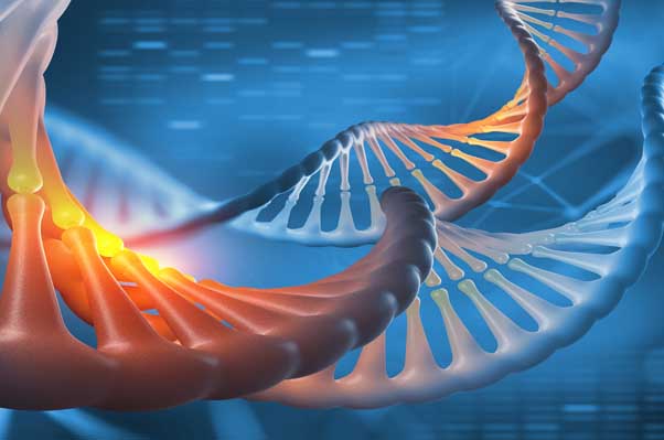 Il était une fois les gènes