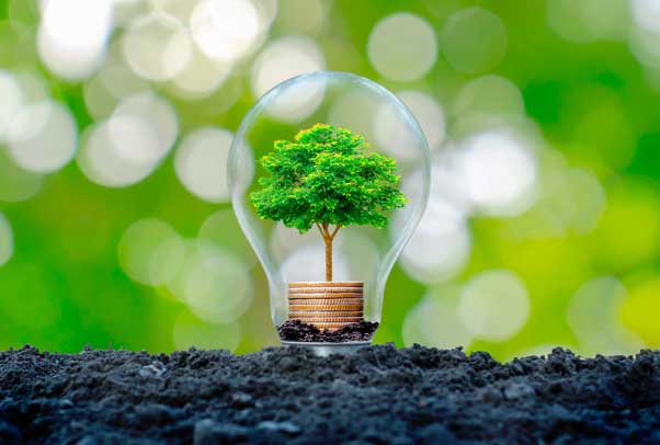 La face cachée des énergies vertes