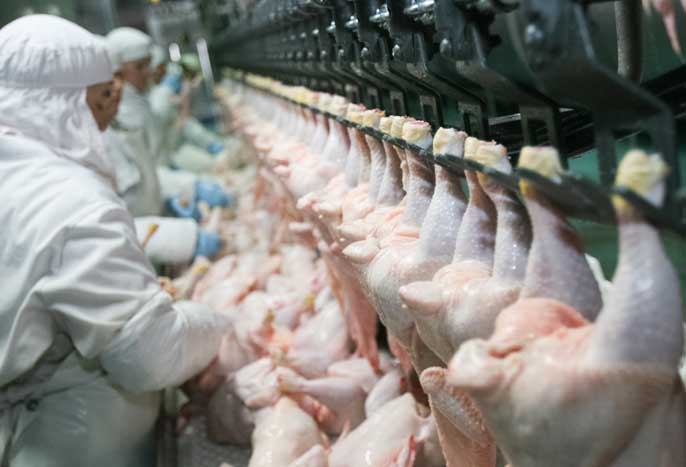 L'alimentation toute une histoire