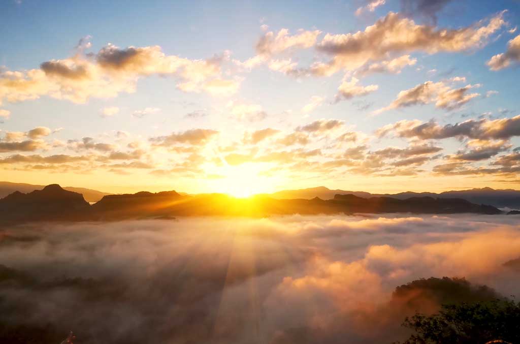 L'Aube des Formes et la Nuit sans langage