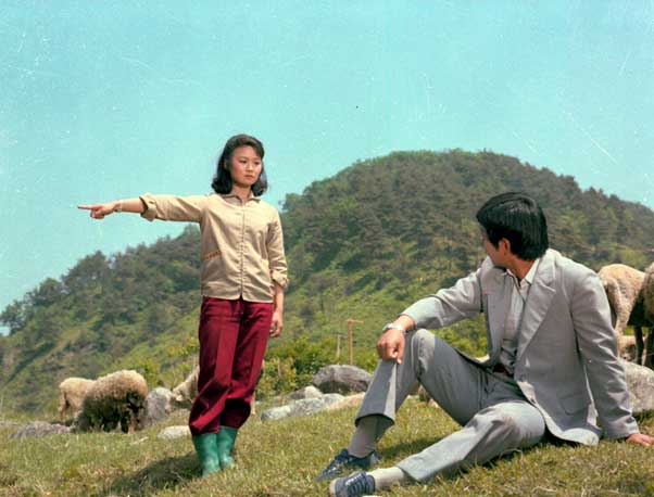 Le Calice : la campanule et l’oiseau migrateur