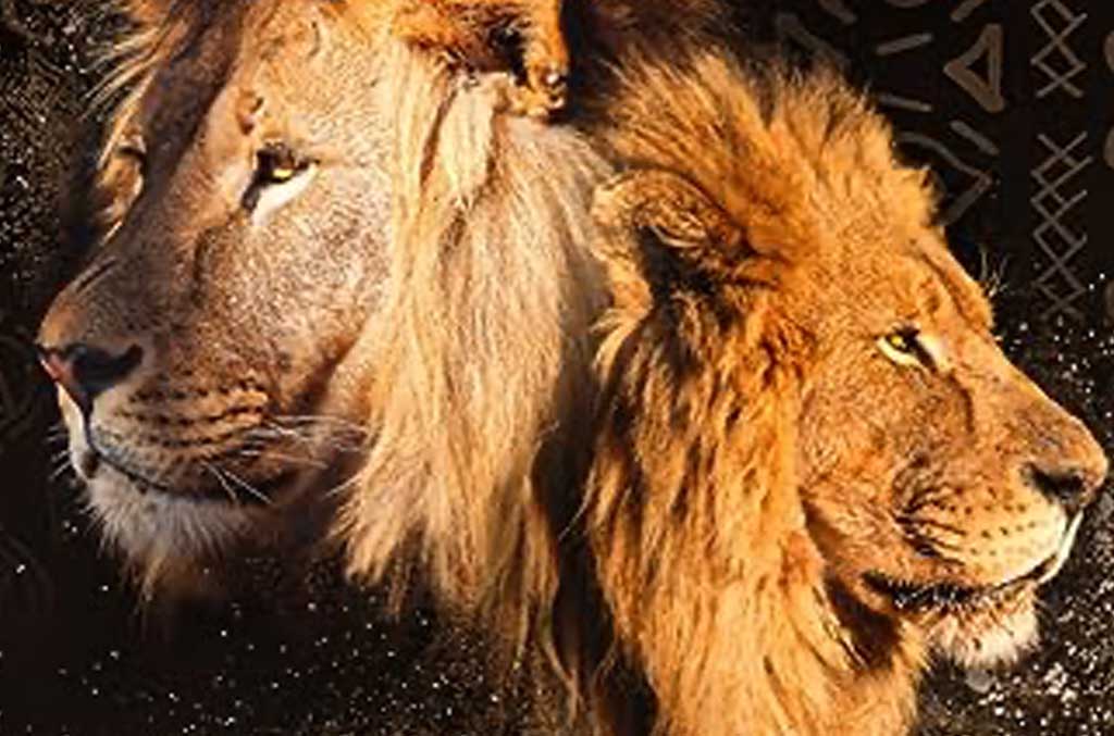 Lydéric Landry, prince de la jeunesse