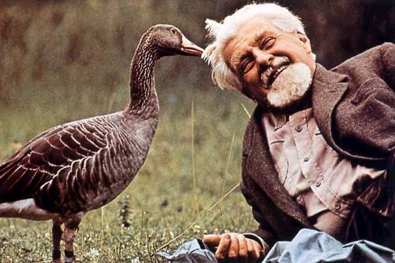 Yves Christen : « Konrad Lorenz reste un personnage iconique »