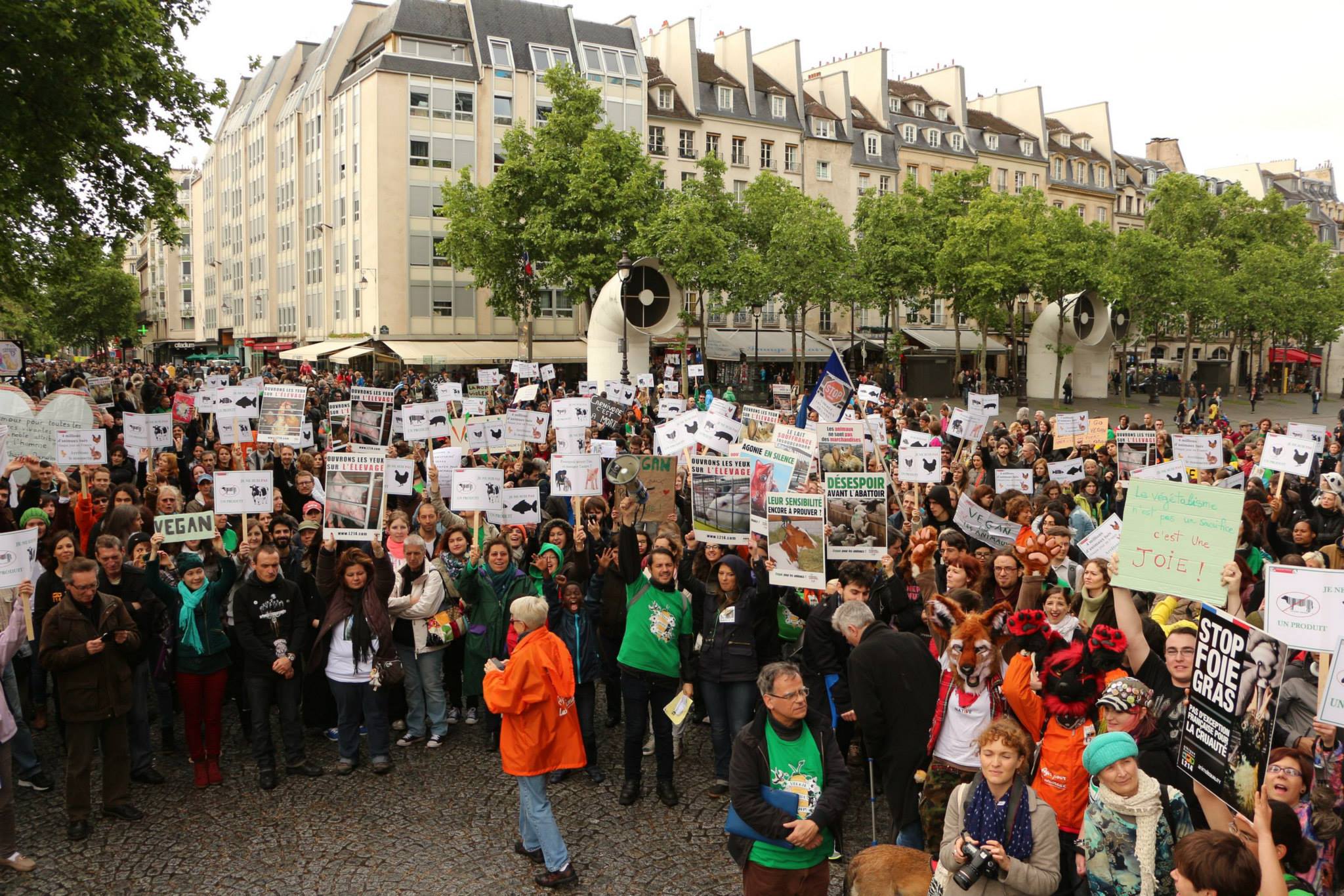 Vis ma vie de Parisien : entre comité « Vérité pour Tralala » et vegans blafards